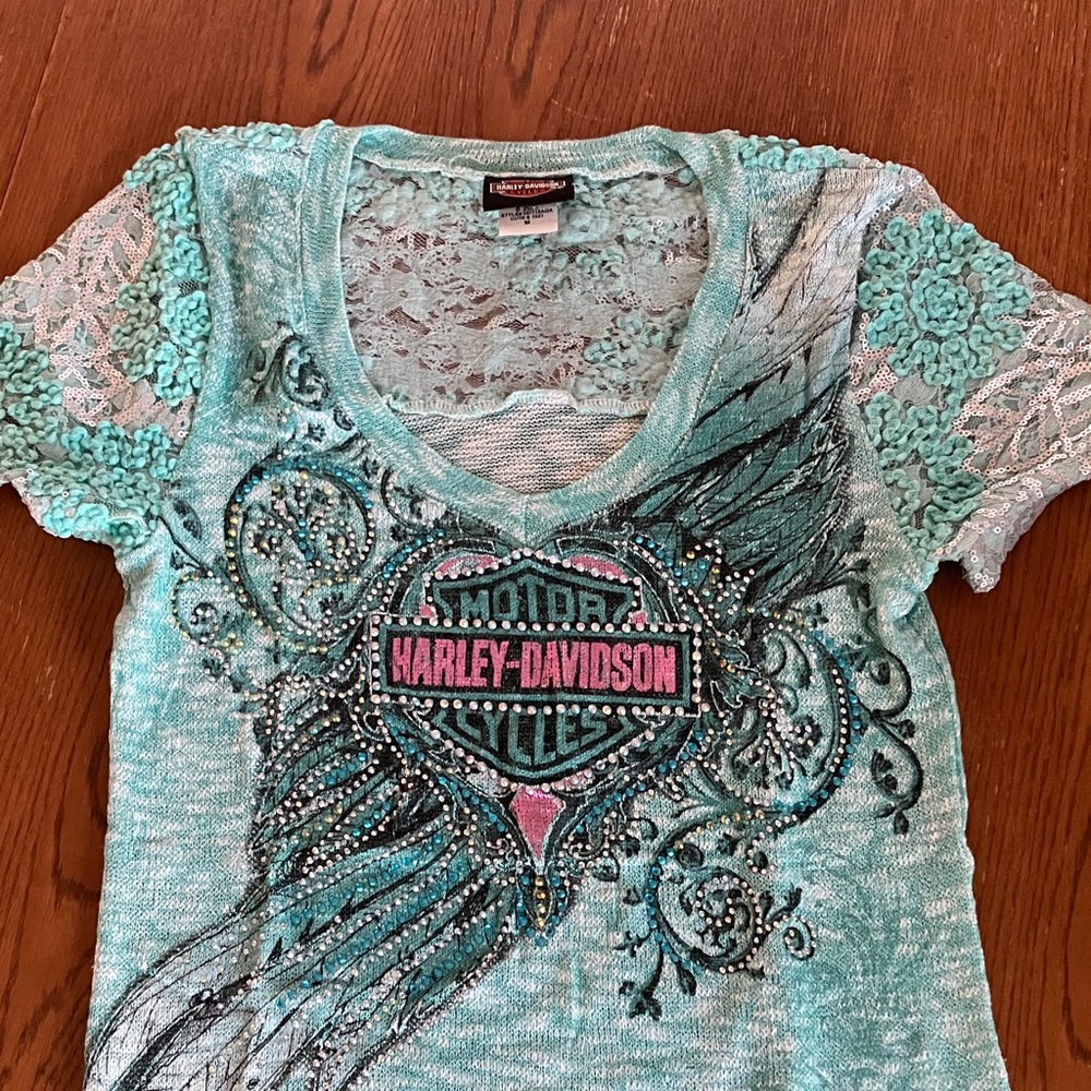 HARLEY-DAVIDSON V-NECK MINT GREEN SWEATER NEW WITHOUT TAGS
